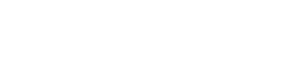 BYD PIK